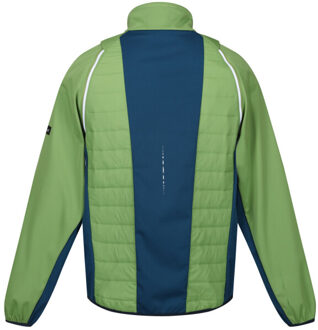 Regatta Heren steren ii softshell hybride jas - maat M Groen