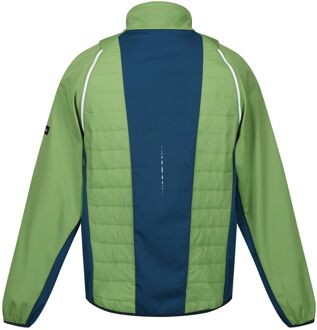 Regatta Heren Steren II Softshell Hybride Jas (Pikant groen/Marokkaans blauw/Citron lime) Limoengroen - M