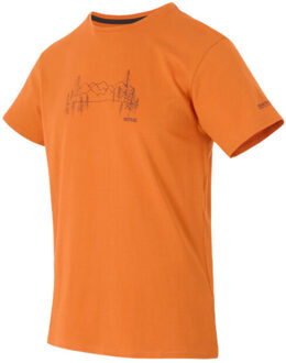 Regatta Heren t-shirt breezed mountain Bruin - 4XL