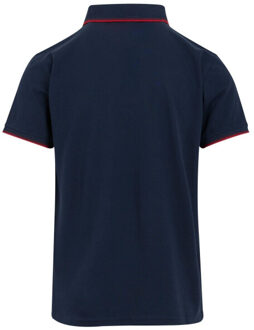 Regatta Heren tadeo ii gestipt poloshirt Blauw - S