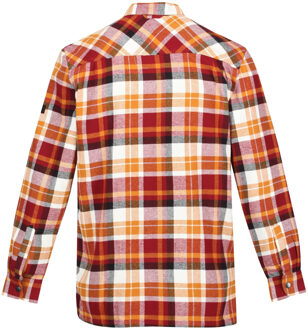 Regatta Heren Thamos geruit overhemd met lange mouwen (Cathay Kruiden) Veelkleurig - 2XL