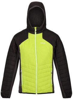 Regatta Heren trutton hooded soft shell jacket Groen - L