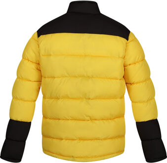 Regatta Heren Vintage Geïsoleerde Pufferjas (Zonne/Zwart) - maat M Mosterdgeel