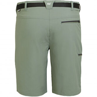 Regatta Heren Xert III Stretch Shorts (Agave Groen)