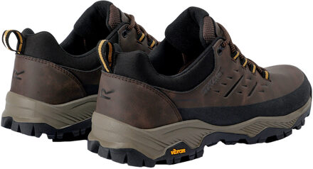Regatta Herenschoenen Blake Laag (Turf/Hout) - maat Bruin