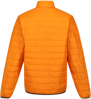 Regatta Hillpack gewatteerd geïsoleerd jasje heren Oranje