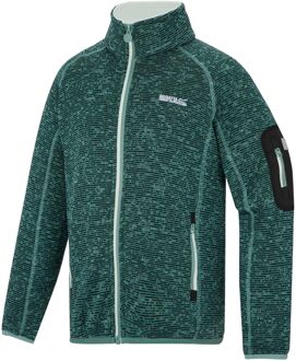 Regatta Junior Newhill Full-Zip Fleece Vest Junior - 176