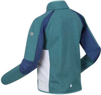Regatta Juniors Oberon VII Full-Zip Fleece in Blue Blauw
