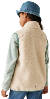 Regatta Kinder/kids frankie body warmer Groen - 128