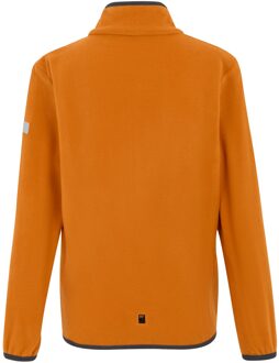 Regatta Kinder/Kids Frankie Full Zip Fleecejack (Fox) - maat Oranje