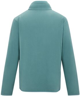 Regatta Kinder/Kids Frankie Full Zip Fleecejack (Ivy Mos) - maat Groen