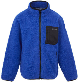 Regatta Kinder/kids frankie full zip fleecejack - maat 158 Blauw
