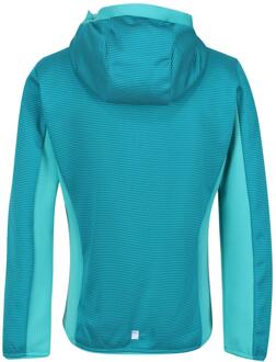Regatta Kinder/Kids Highton Full Zip Fleece Jas (Email/Turkoois) - maat Blauw