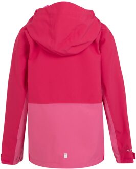 Regatta Kinder/Kids Highton V Full Zip Hoodie (Roze toverdrank/Flamingo Roze) - 14J / 164cm