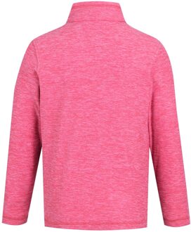 Regatta Kinder/Kids Hot Shot Quarter Zip Fleece Top (Pop) Roze - 14J / 164cm