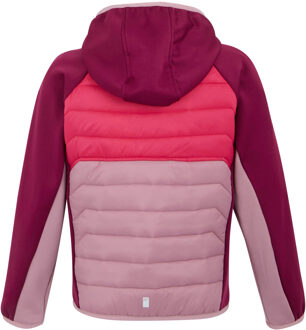 Regatta Kinder/kids kielder ix hybride jas Lila - 13J / 158cm