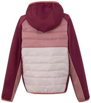 Regatta Kinder/kids kielder ix hybride jas - maat 158 Roze