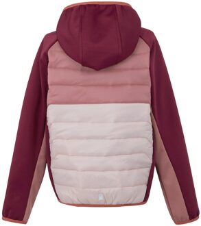 Regatta Kinder/Kids Kielder IX Hybride Jas (Roze)