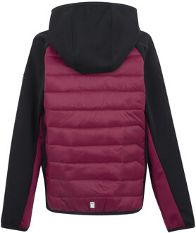 Regatta Kinder/Kids Kielder IX Hybride Jas (Zwart/Donker Pimento) - maat 15-16J / 170-176cm