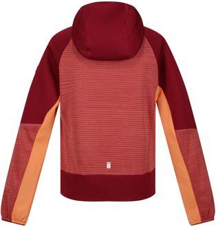 Regatta Kinder/Kids Prenton II Hooded Soft Shell Jacket (Mineraalrood/Rumba-rood) Bordeaux