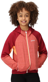 Regatta Kinder/kids prenton ii hooded soft shell jacket Rood - 146/152