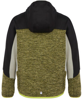 Regatta Kinder/kinder dissolver ix marl full zip fleecejack Groen - 116