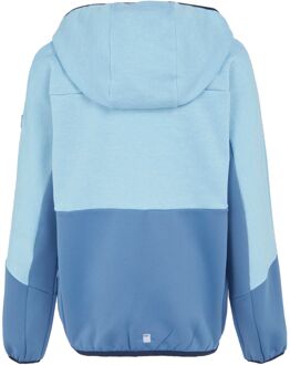 Regatta Kinder/Kinder Dissolver IX Marl Full Zip Fleecejack (Heldere hemel/koronetblauw) Hemelsblauw