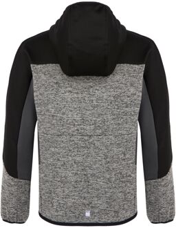 Regatta Kinder/Kinder Dissolver IX Marl Full Zip Fleecejack (Mineraalgrijs/zwart) Lichtgrijs