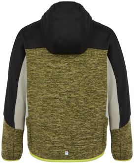 Regatta Kinder/Kinder Dissolver IX Marl Full Zip Fleecejack (Nefriet groen/zwart)