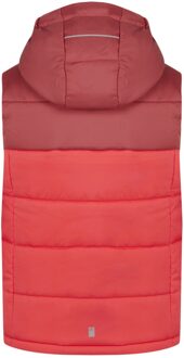 Regatta Kinder/Kinder Lofthouse II Gilet (Mineraal Rood/Rode Hemel) - 11-12J / 146-152cm