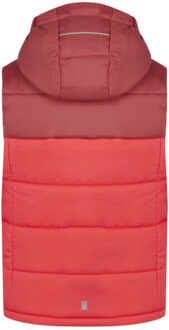 Regatta Kinder/kinder lofthouse ii gilet Rood - 158