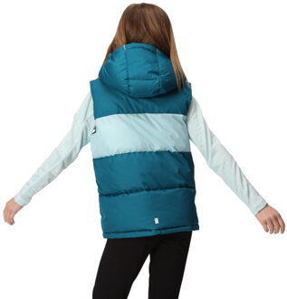 Regatta Kinder/kinder lofthouse zwaargewicht bodywarmer Groen - 170/176