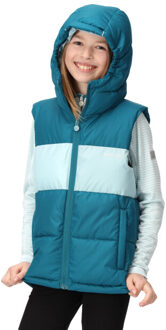 Regatta Kinder/kinder lofthouse zwaargewicht bodywarmer - maat 116 Groen
