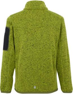 Regatta Kinder/Kinder Newhill Fleece Jas (Grenoble groen/Nefriet groen) Limoengroen