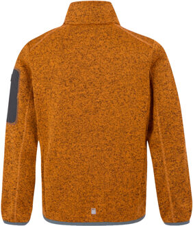 Regatta Kinder/Kinder Newhill Fleece Jas (Helder goud/gletsjer) Oranje