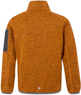 Regatta Kinder/kinder newhill fleece jas Oranje - 146/152