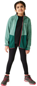 Regatta Kinder/kinder prenton iii jas - maat 146/152 Groen
