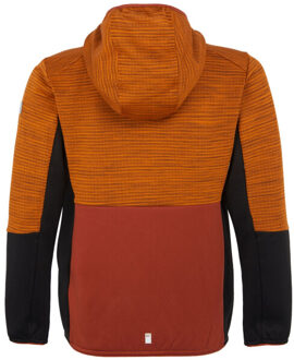 Regatta Kinder/kinder prenton iii jas Oranje - 116