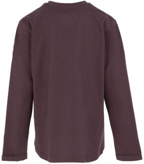 Regatta Kinder/kinder wenbie iii ster t-shirt met lange mouwen Paars - 164