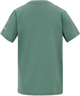 Regatta Kinderen Bosley Kunst T-Shirt (Ivy Moss) - maat 9-10J / 134-140cm Groen