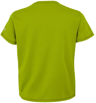 Regatta Kinderen/kinderen alvarado ix berg t-shirt Groen - 128