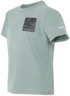 Regatta Kinderen/kinderen alvarado ix berg t-shirt Groen - 140