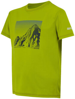 Regatta Kinderen/kinderen alvarado ix berg t-shirt Groen - 170/176