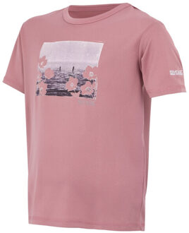 Regatta Kinderen/kinderen alvarado ix foto t-shirt Oranje - 170/176