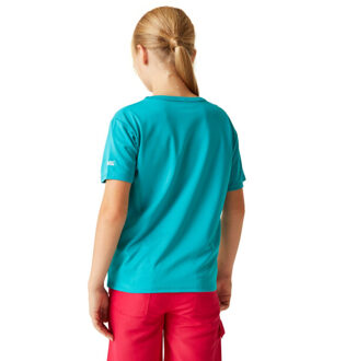 Regatta Kinderen/kinderen alvardo viii hart t-shirt Geel - 104