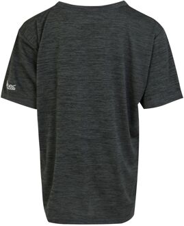 Regatta Kinderen/Kinderen Alvardo VIII Paw Print Marl T-Shirt (Afdichting Grijs) - maat 14J / 164cm