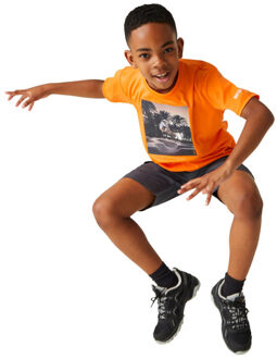 Regatta Kinderen/kinderen alvardo viii skateboard t-shirt Oranje - 146/152