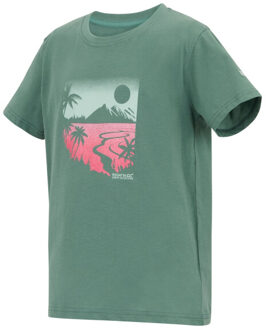 Regatta Kinderen/kinderen bosley kunstwerk t-shirt - maat 116 Groen