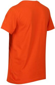Regatta Kinderen/Kinderen Bosley V Discover T-Shirt (Magma) Oranje