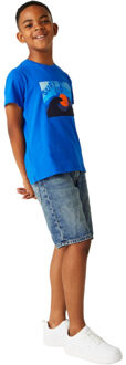 Regatta Kinderen/kinderen bosley vii sunset t-shirt Blauw - 104